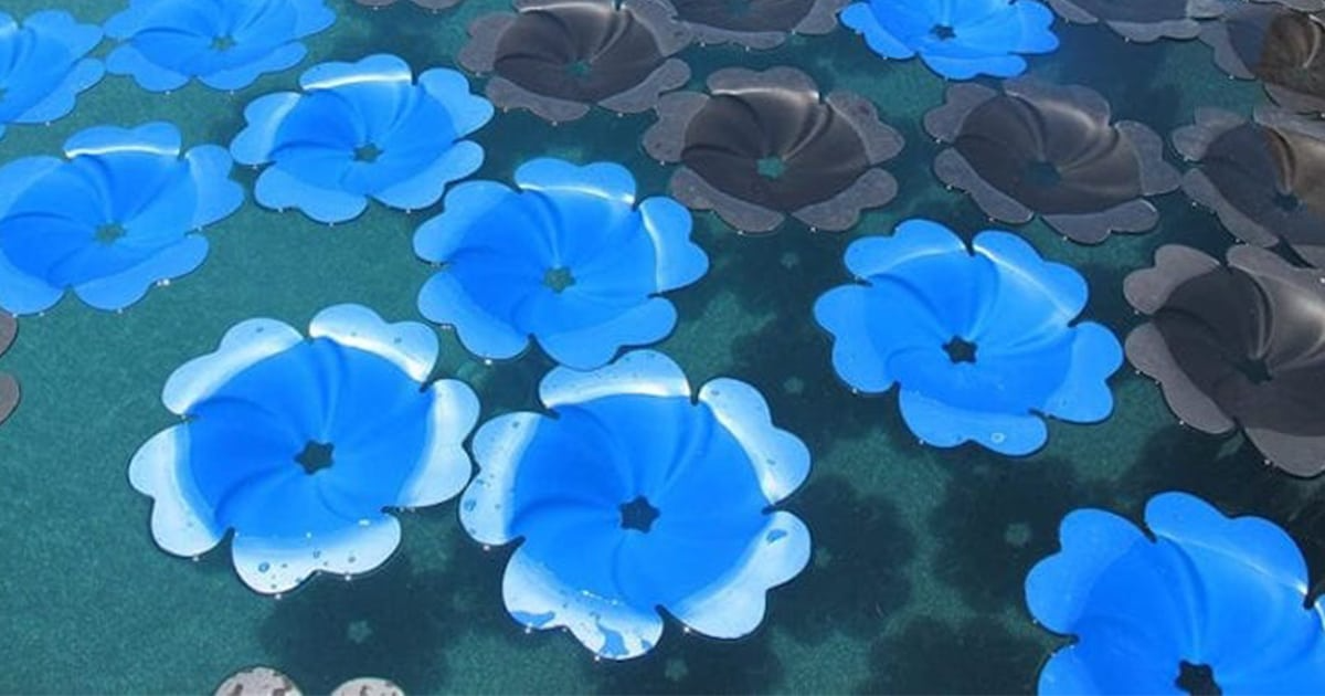 These Floating Solar Panel Flowers Heat Up Your Pool
