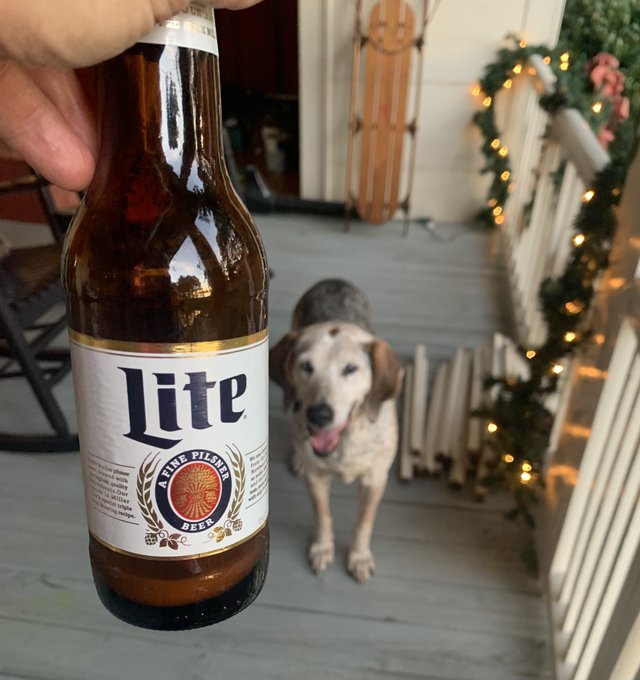 Why is Beer bottles green or brown...?