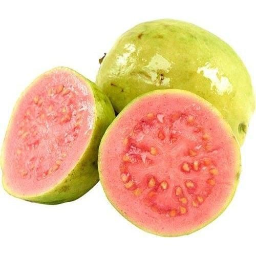 Guava kicks Away the Cancer Guava kicks Away the Cancer