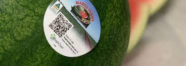 QR Code on Watermelon: For Non-Toxic Variety