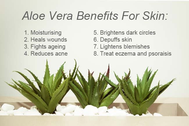 Amazing benefits of Aloe vera Amazing benefits of Aloe vera