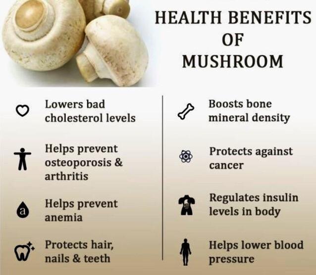 Are Mushrooms Good for You?