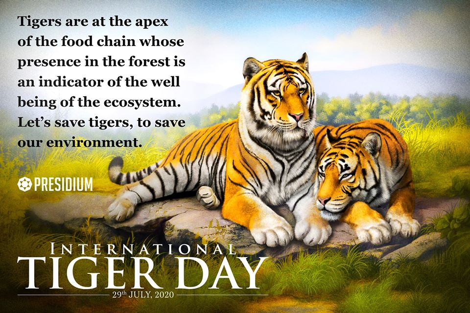 International Tiger Day Let S Save Tiger S