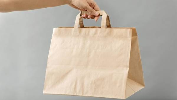 How to Start a Biodegradable Plastic Bag Business  Enterclimate