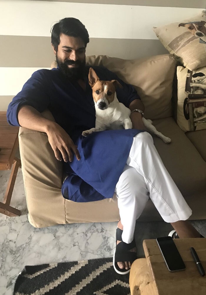 Ram Charan New Clicks With Dogs