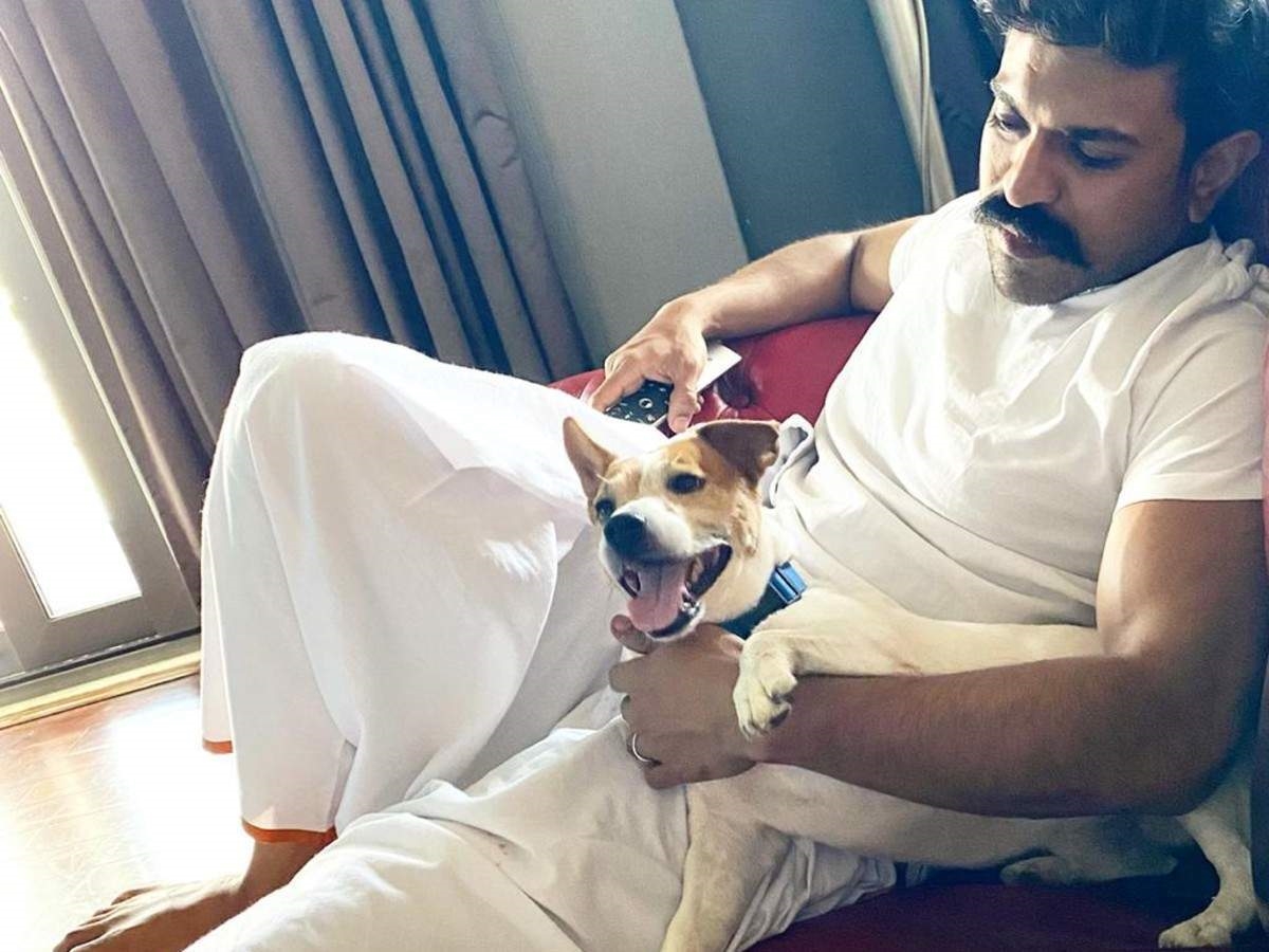 Ram Charan New Clicks With Dogs