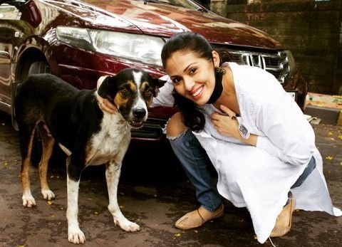 Sadaa New Images Colection