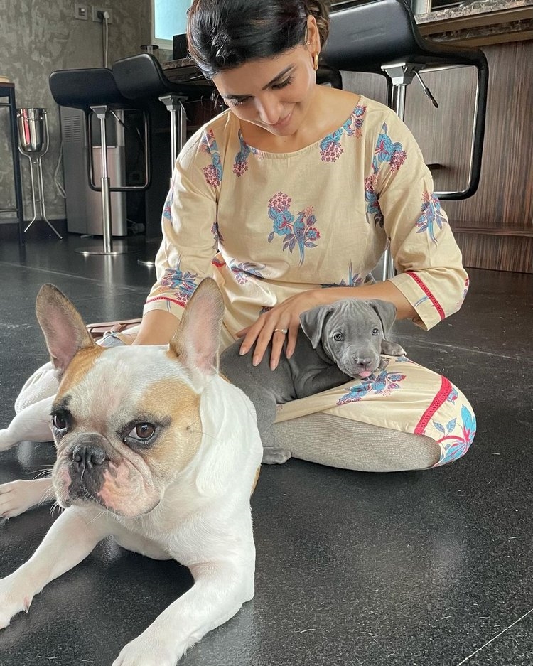 Samantha Akkineni New Images With Dog