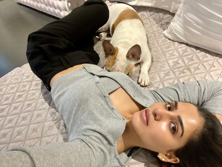 Samantha Akkineni New Images With Dog