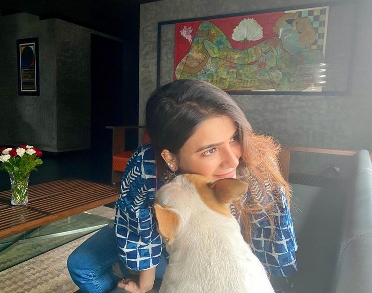 Samantha Akkineni New Images With Dog