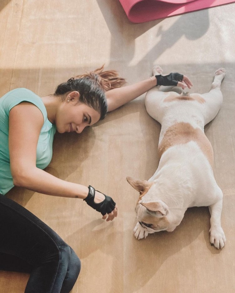 Samantha Akkineni New Images With Dog