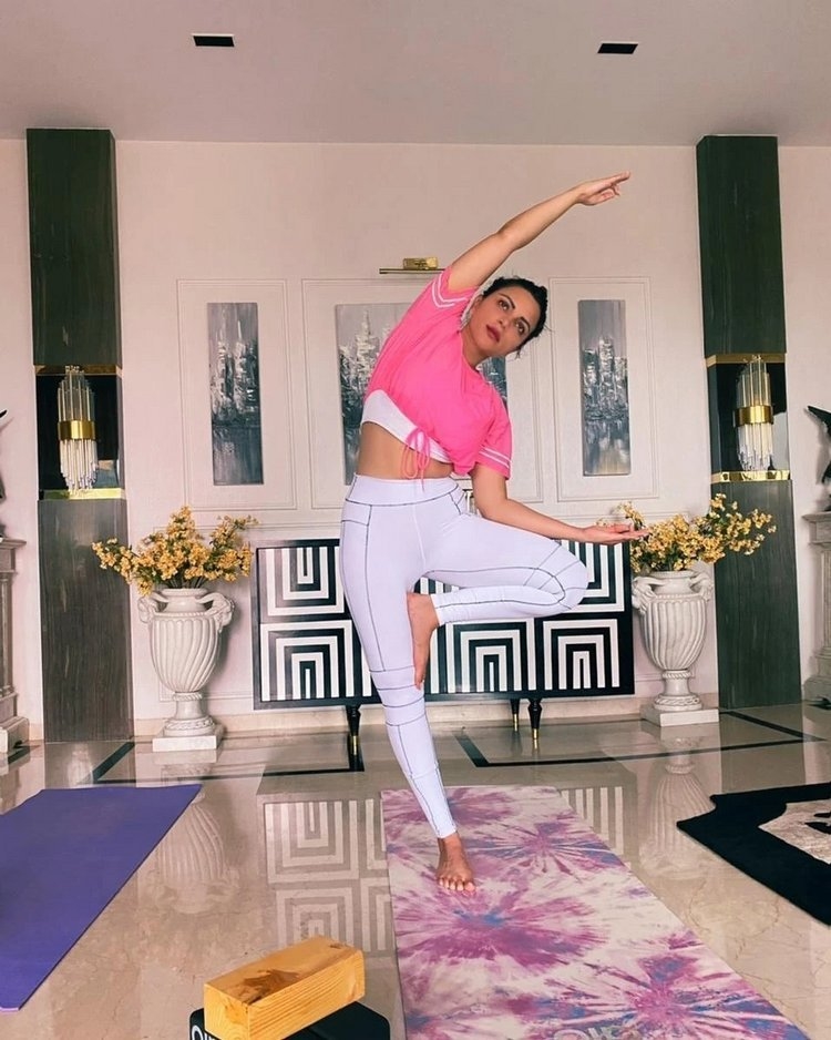 Shama Sikander Latest Photos