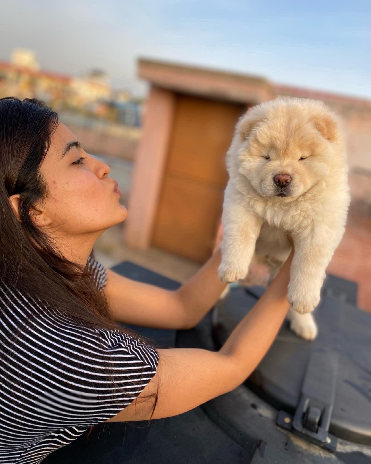Actress Amritha Aiyer Latest Cute Images with Her Pet