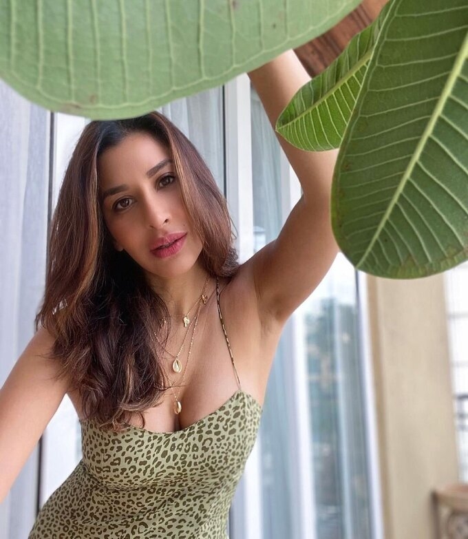 Actress And Model Sophie Choudry Latest Photo Collection