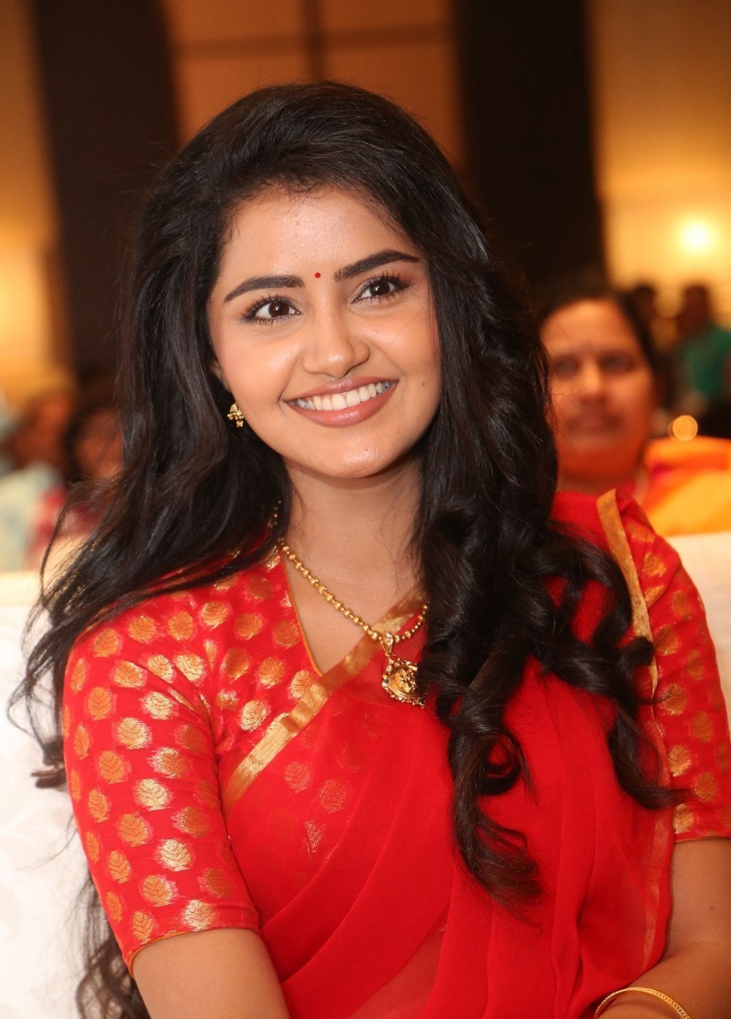 Actress Anupama Parameswaran Looking Gorgeous In Saree