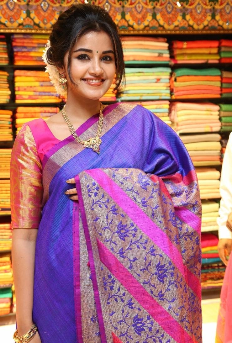 Actress Anupama Parameswaran Looking Gorgeous In Saree