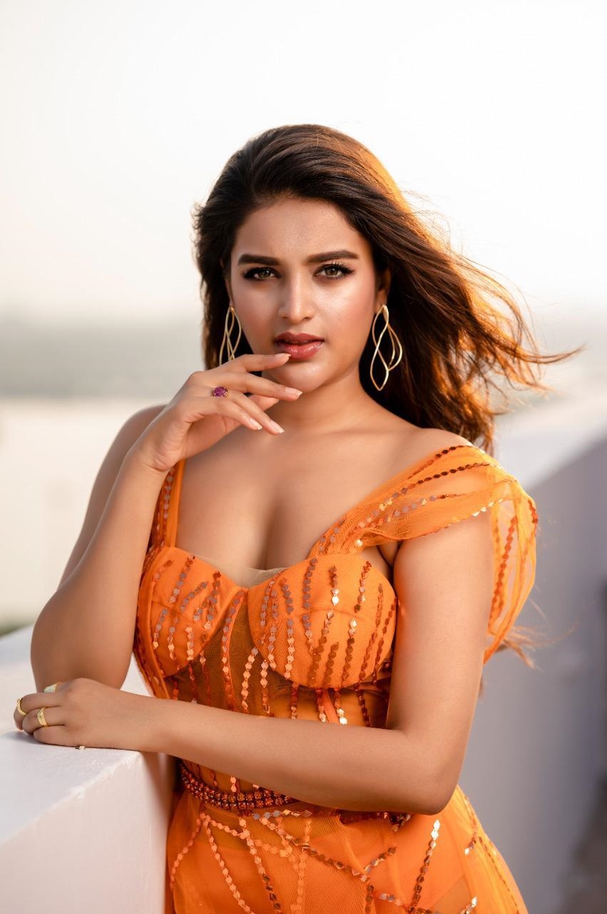 Actress Nidhhi Agerwal Image Collection