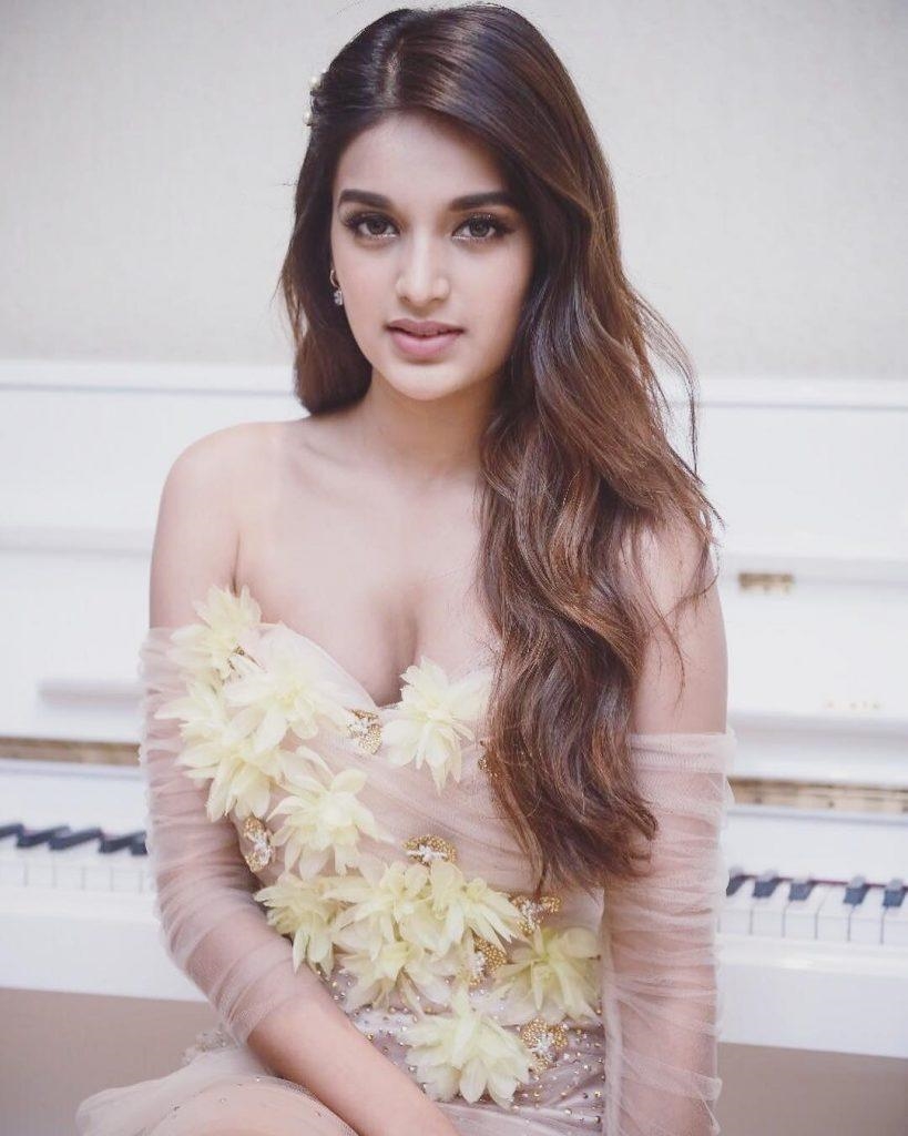 Actress Nidhi Agerwal Spicy Images
