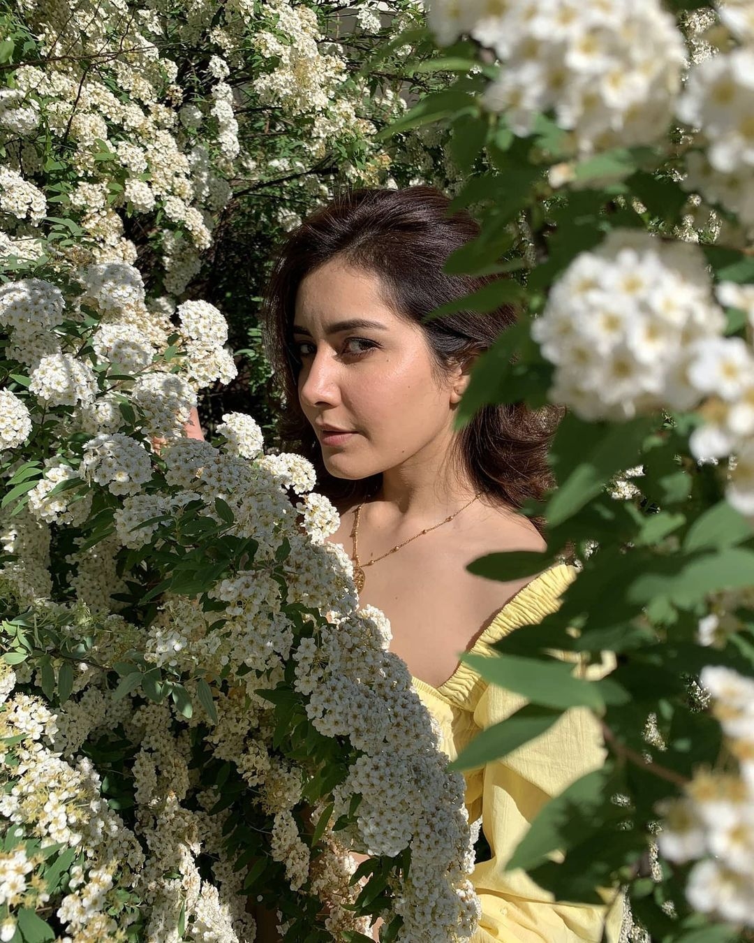 Actress Rashi Khanna Latest Images