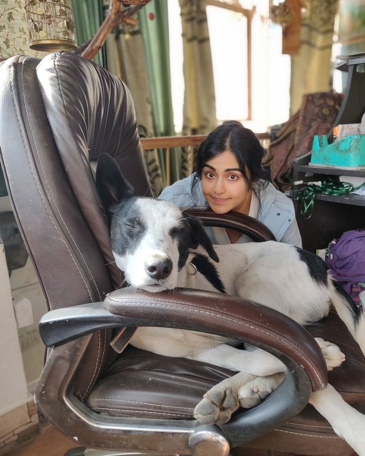 Adah sharma cute photos with pets