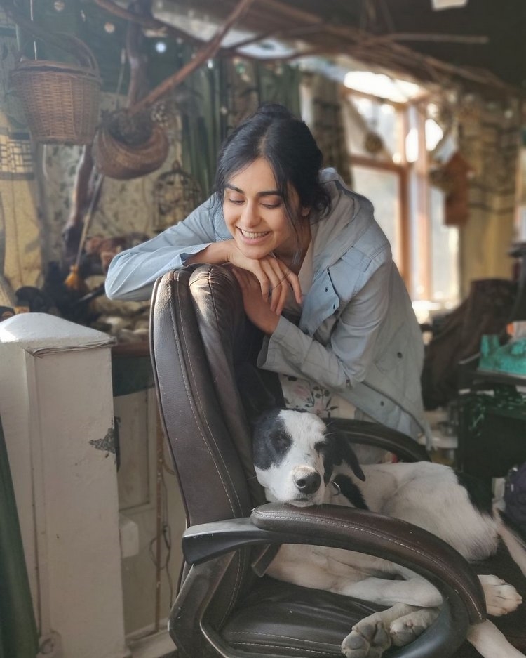 Adah sharma cute photos with pets