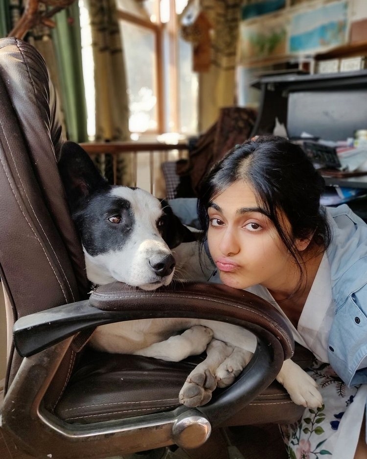 Adah sharma cute photos with pets