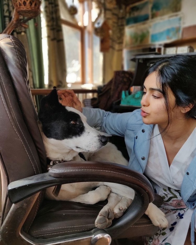 Adah sharma cute photos with pets