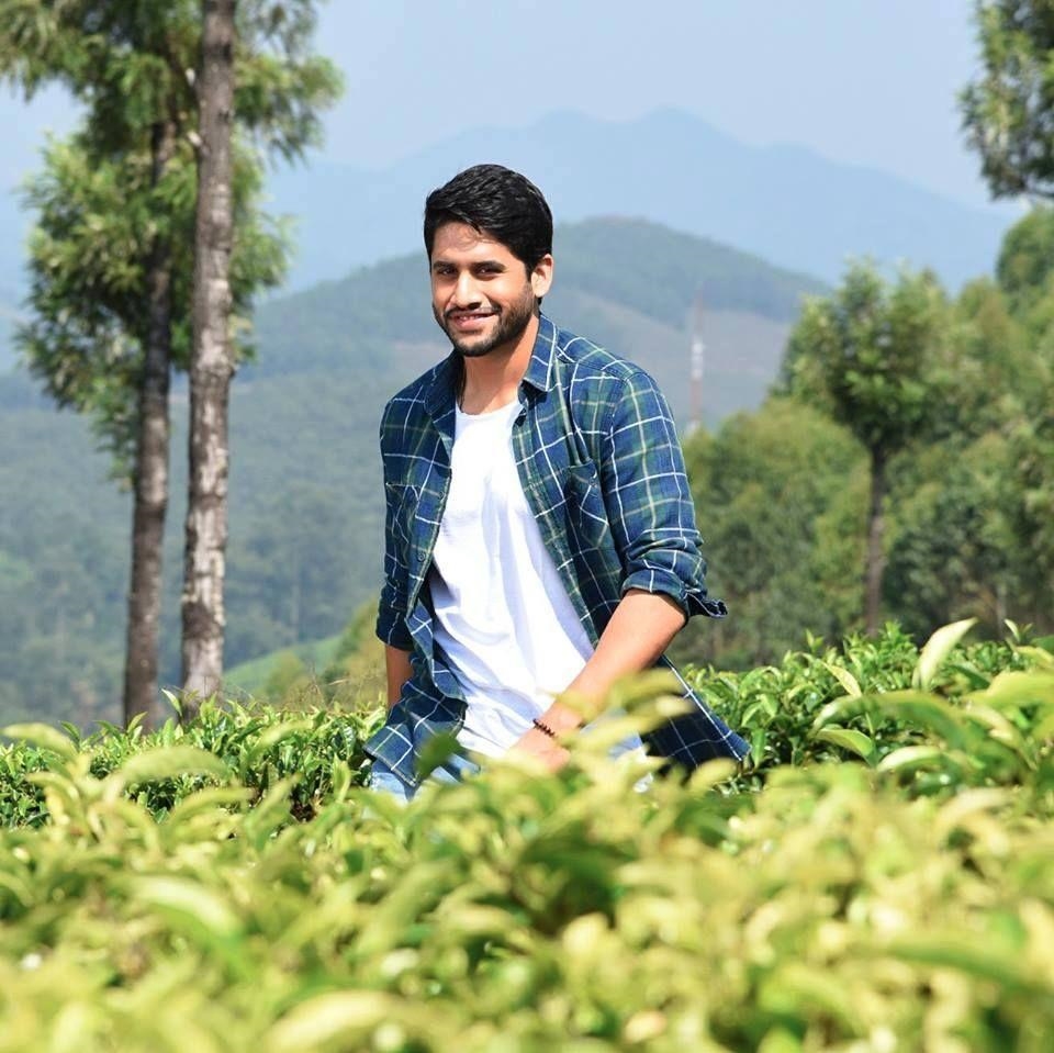 Akkineni Naga Chaitanya Image Collection