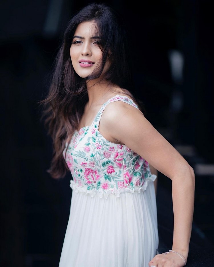 Amritha Aiyer Images Collection