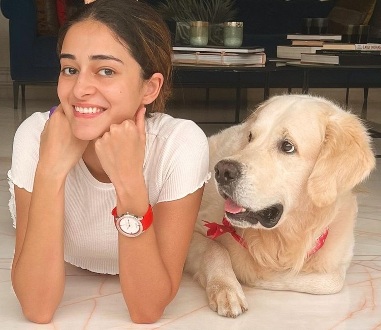 Ananya Panday New Clicks Collection