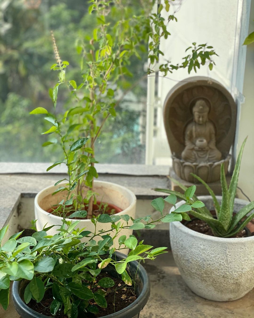 Andrea Jeremiah New Images In Her House