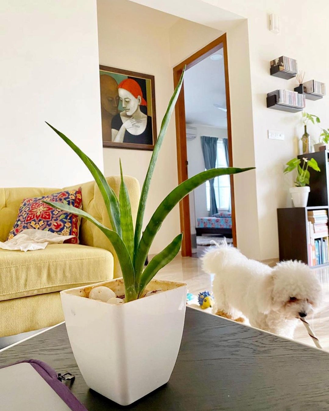 Andrea Jeremiah New Images In Her House