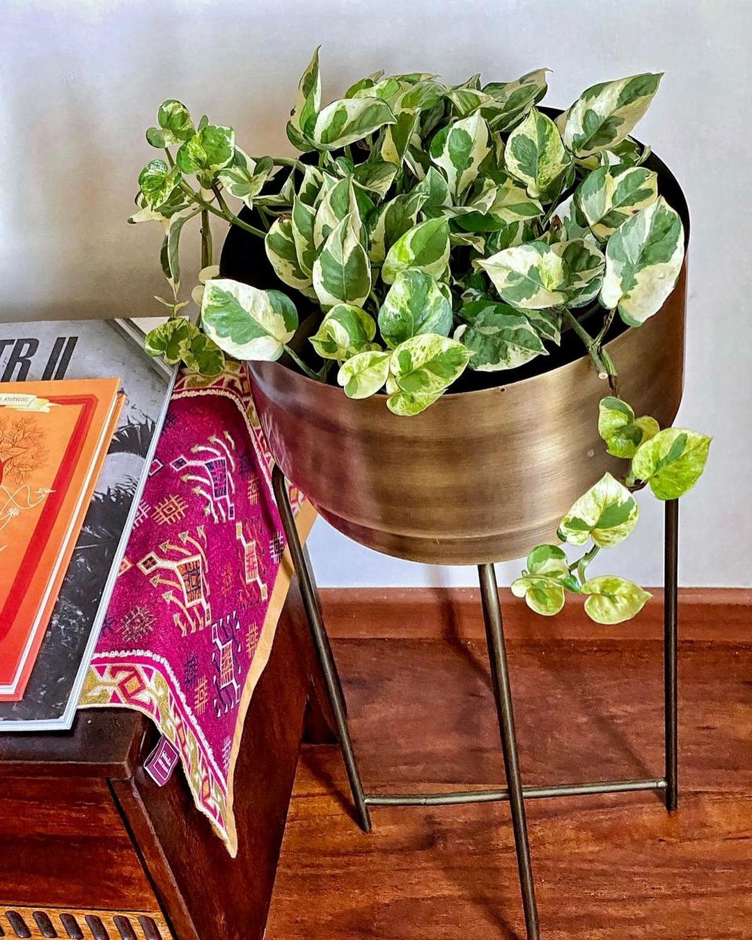 Andrea Jeremiah New Images In Her House