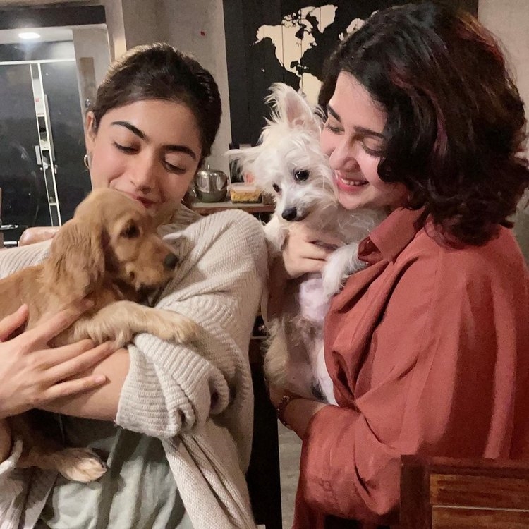 Charmme New Images with Rashmika