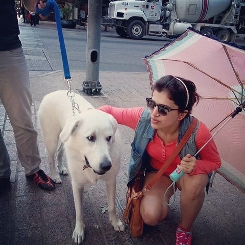 Chitra Shukla latest Photos