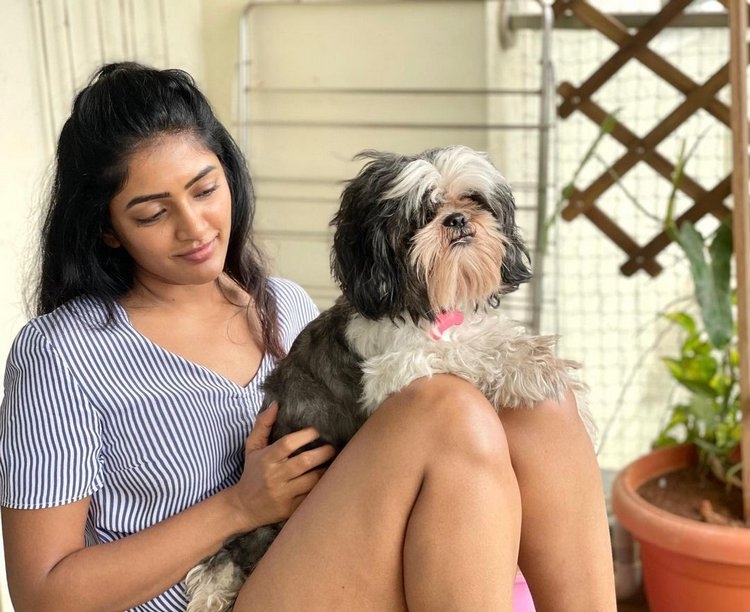 Eesha Rebba Amazing Photos