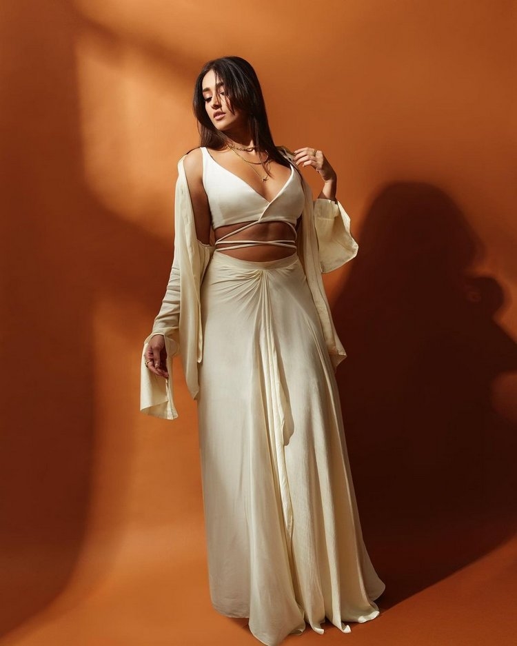 Ileana DCruz New Images Collection Gallery