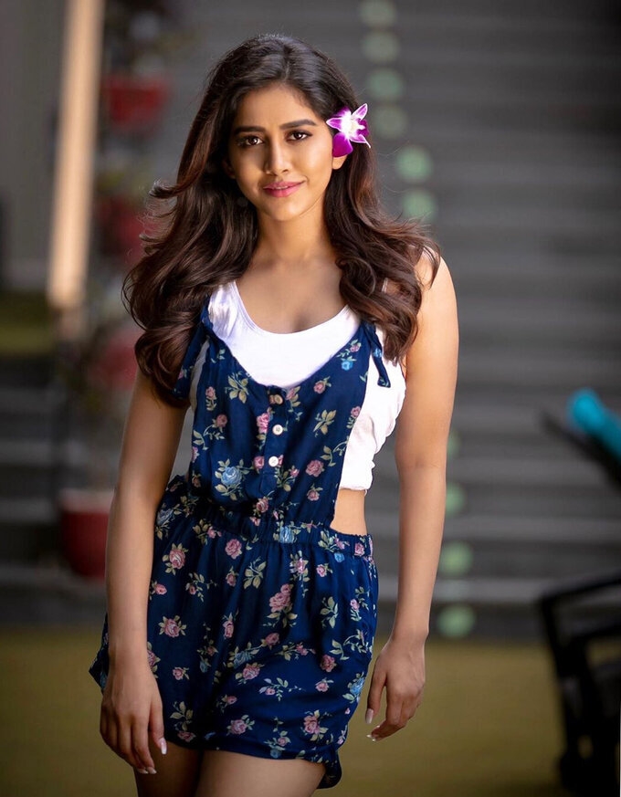 Ismart Shankar Actress Nabha Natesh Cute Images