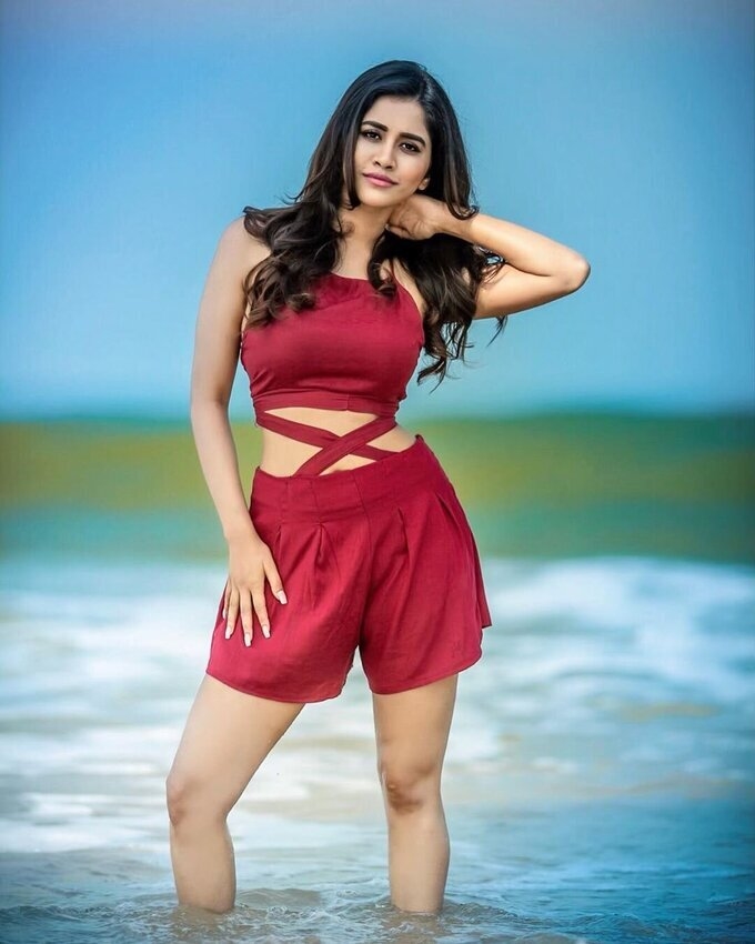 Ismart Shankar Actress Nabha Natesh Cute Images