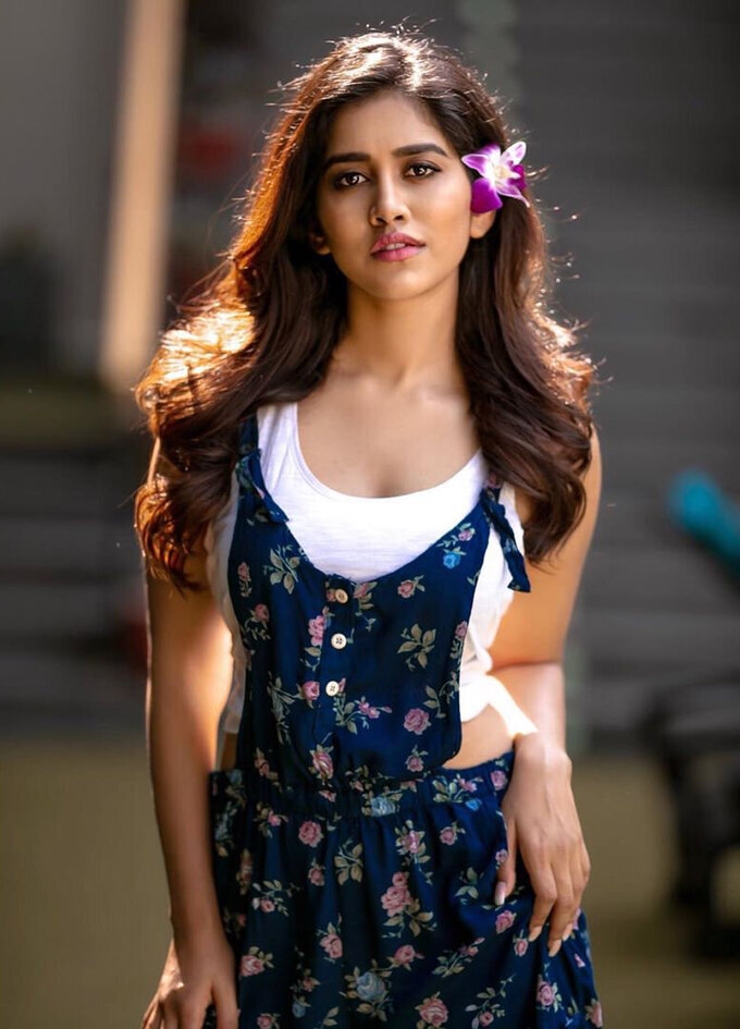 Ismart Shankar Actress Nabha Natesh Cute Images