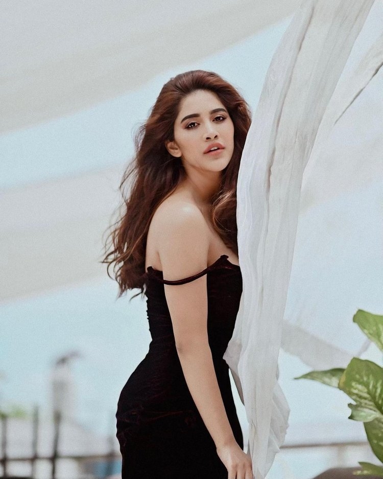 Nabha Natesh Hot Photos Collection In Nature