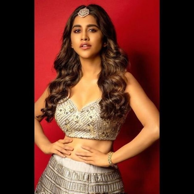 Nabha natesh cute and hot photos