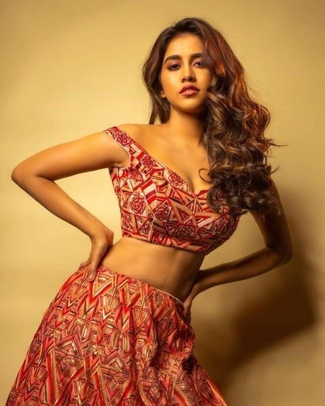 Nabha natesh cute and hot photos