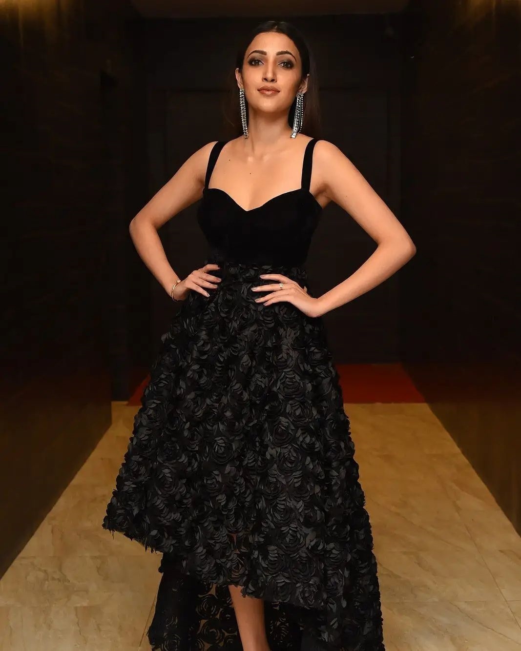 Neha Sshetty Hot Photos Collection