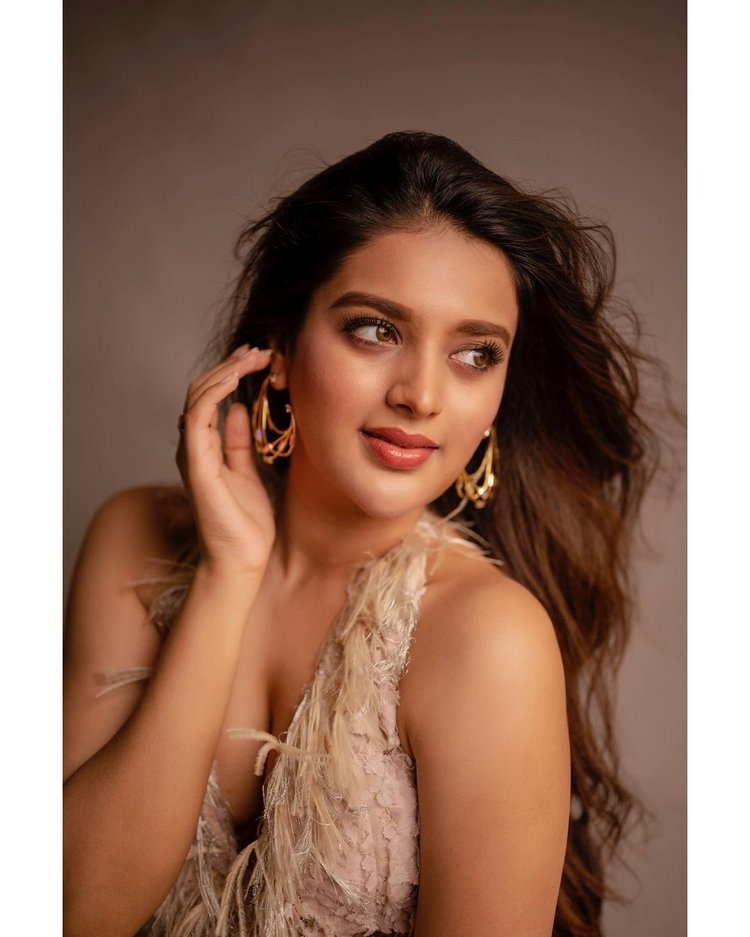 Nidhhi Agerwal Hot Photos In Pink Dress