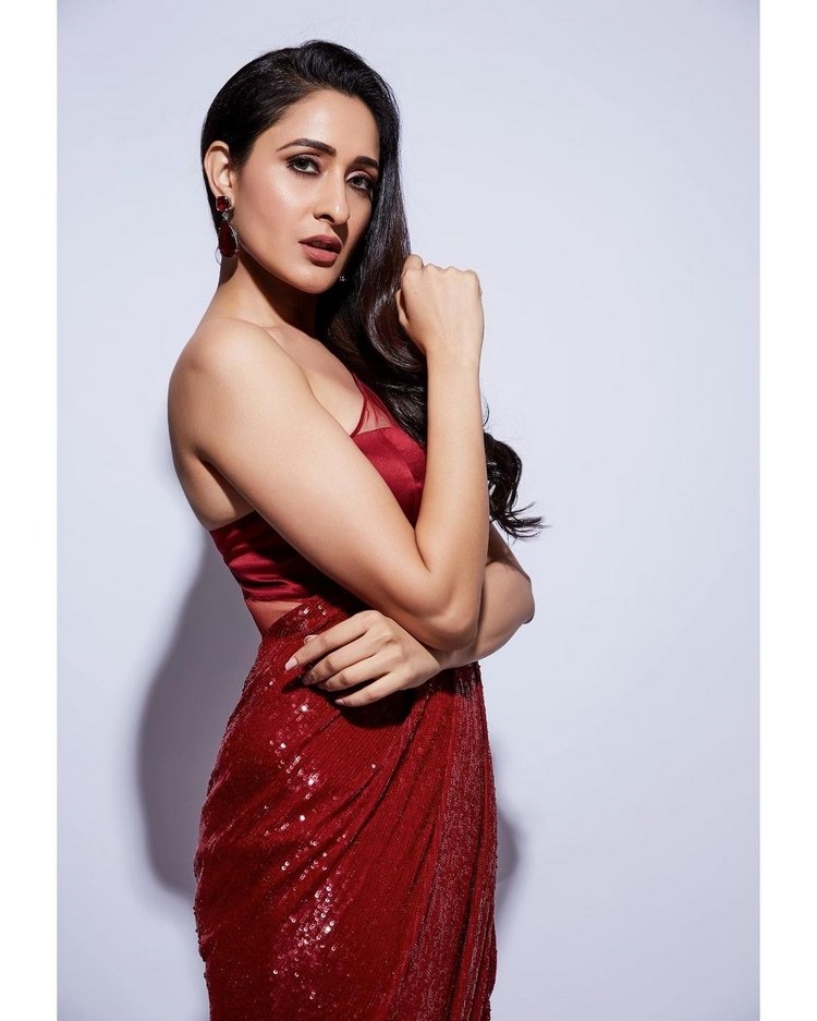 Pragya Jaiswal Stunning New Photos