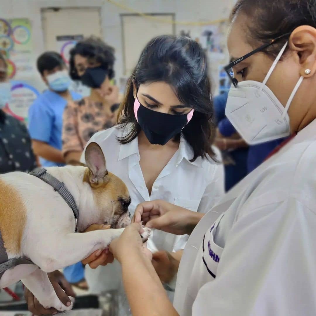 Samantha Akkineni New Images With Dogs