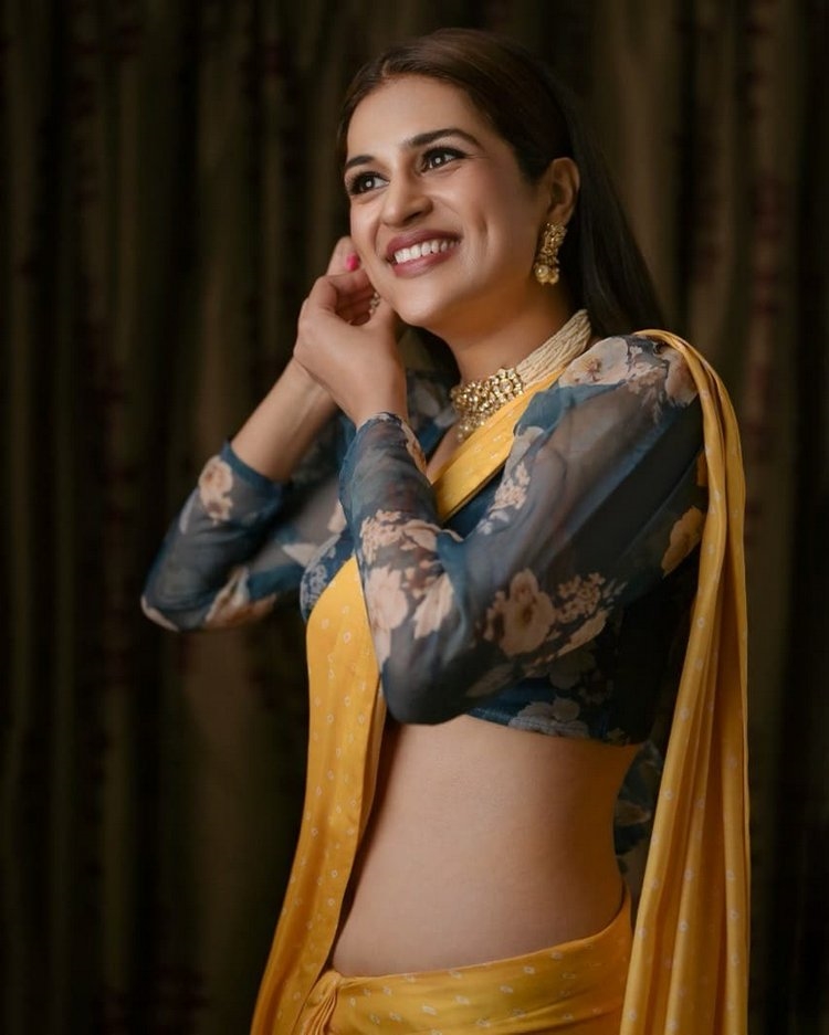 Shraddha Das Hot Photos In Saree