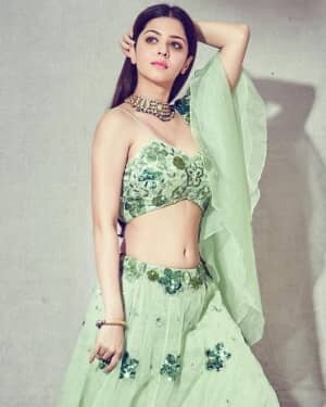 Vedhika latest Photos in mumbai