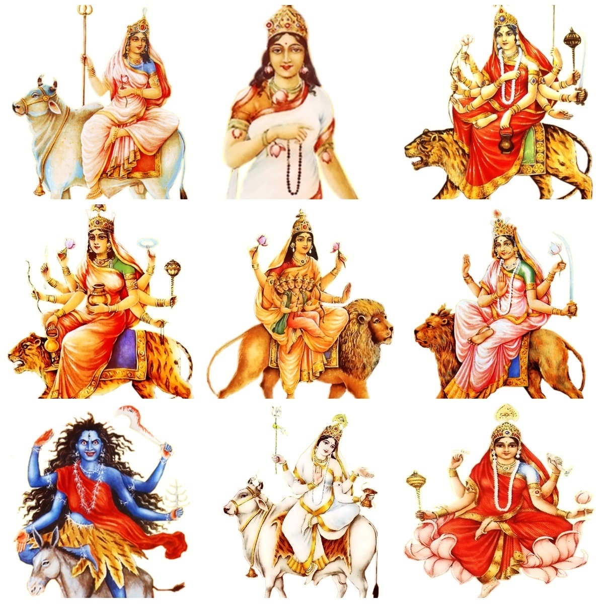 a sample image